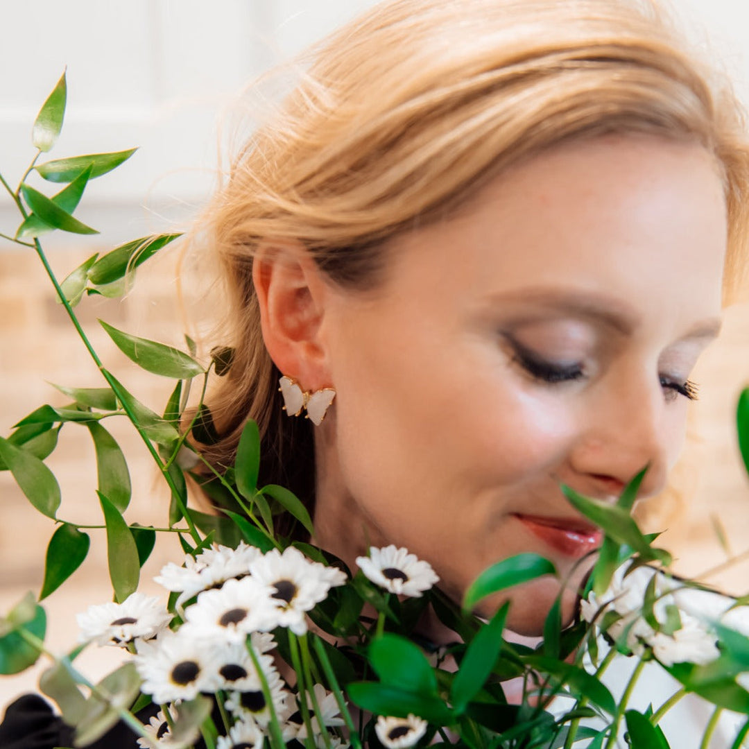 Butterfly Collection