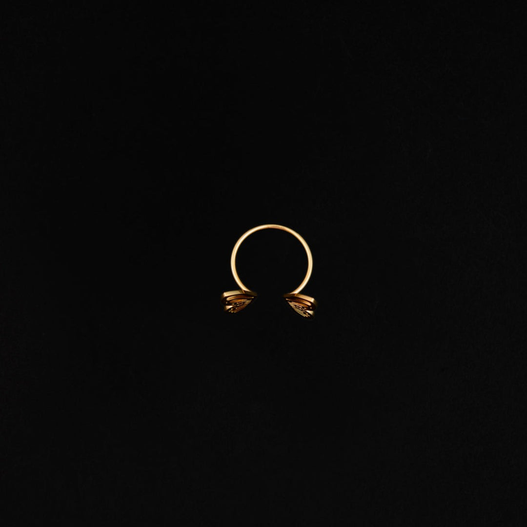 Flutter Ring