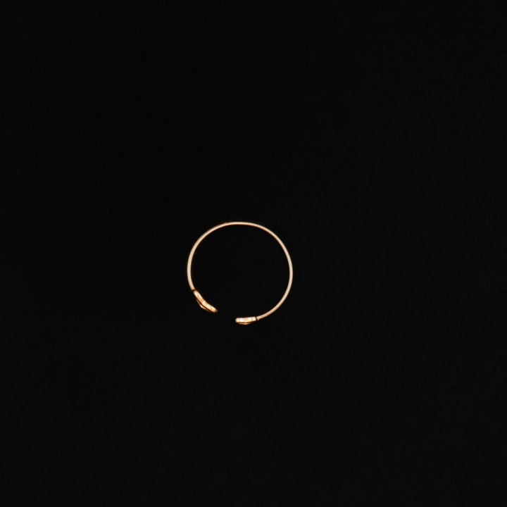 Amour Ring