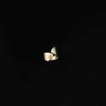 Bethany Ring