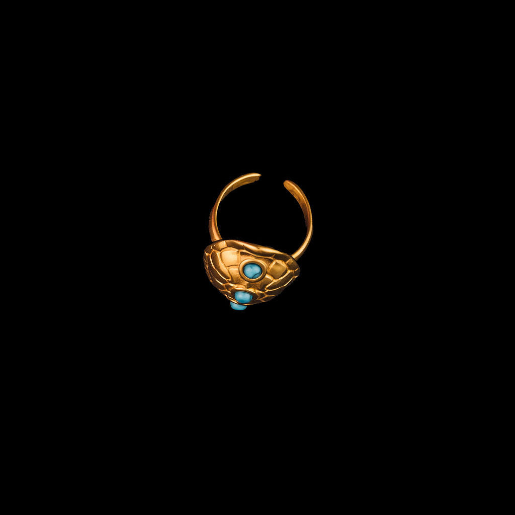 Turtle Turquoise Ring