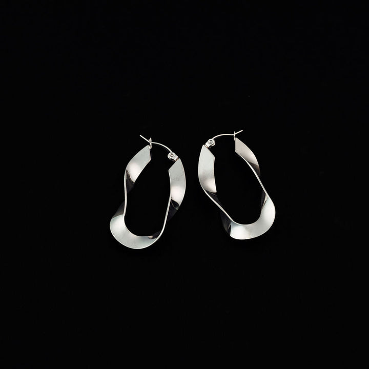 silver stainless steel hoop earrings