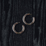 Classic Allie Earrings in Silver
